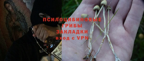 прущие крисы Богородицк