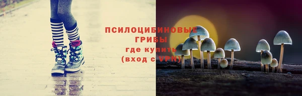 прущие крисы Богородицк