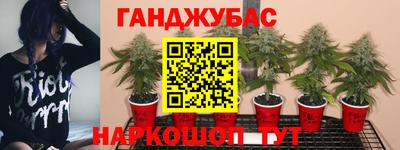 спиды Тверь